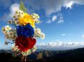 Bandera venezolana con flores